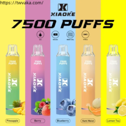 XIAOKE梟客7500 Puffs 一次性電子菸 - 大容量持久享受-台灣現貨